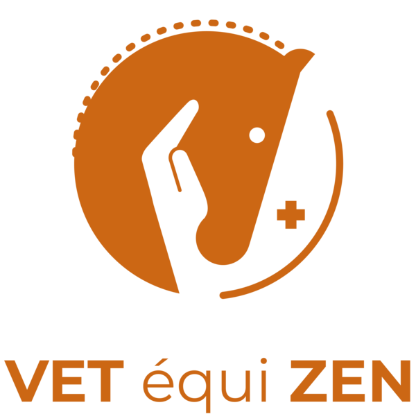 Logo Clinique Vétérinaire Equine de Chantilly Vet équi zen