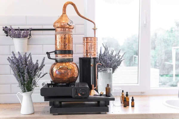 En aromathérapie, cueillette et distillation deux facteurs importants