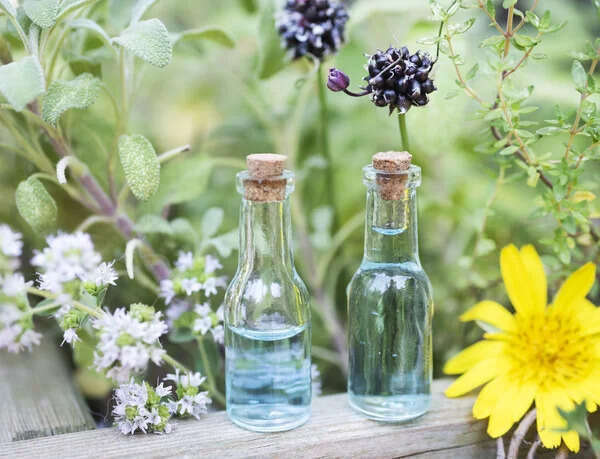 Connaissez-vous la différence entre l'olfactothérapie et l'aromachologie ?