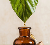 rituel de soin avec huiles essentielles pour une harmonie émotionnelle