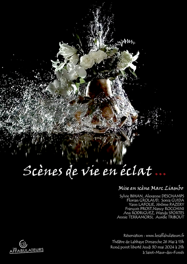 Scènes de vie en éclat