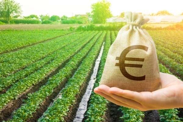 Taxe foncière sur les terres agricoles : une exonération déjà en hausse ?