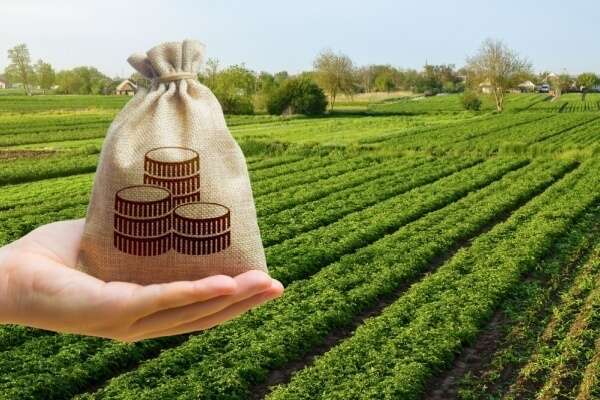 Impôts et taxes pour le secteur agricole : ce qui va changer en 2026