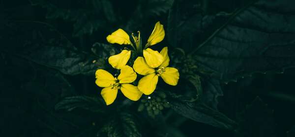 Comment retrouver de l'enthousiasme et de la vitalité au coeur de l'hiver