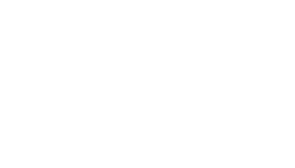 Logo Les Infaillibles