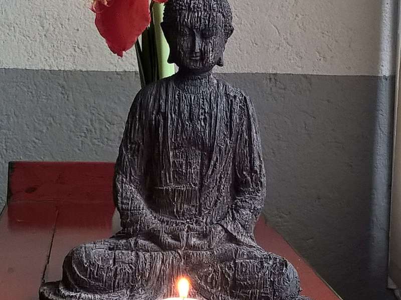 wp_20190125_15_20_10_pro