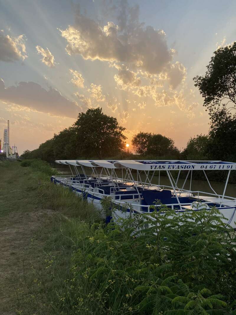 photo_15-08-2021_20_28_1520231113-2629153-vicdvz