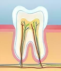ENDODONTIE