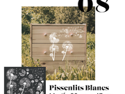 08_-_pissenlits_blancs