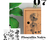 07_-_pissenlits_noirs