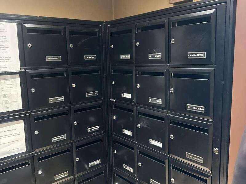 whatsapp_image_2026-02-22_at_12-41-49__1_