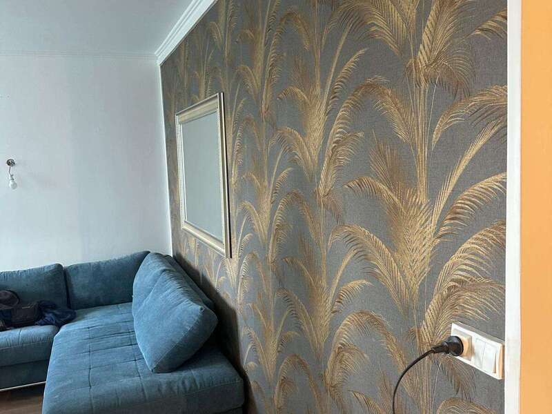 whatsapp_image_2026-02-22_at_12-41-39__1_