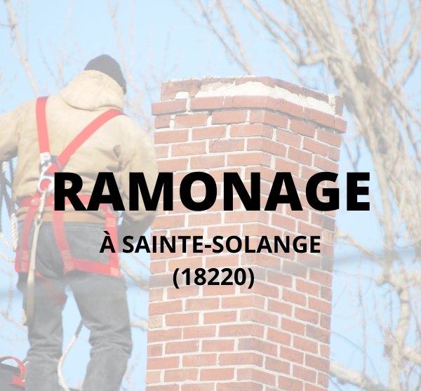 Ramonage et débistrage à sainte-Solange (18220)