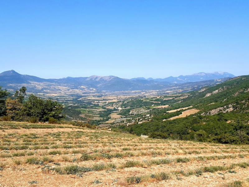 capture_d_ecran_2023-04-18_a_12-38-4820230418-2526791-7kh6io