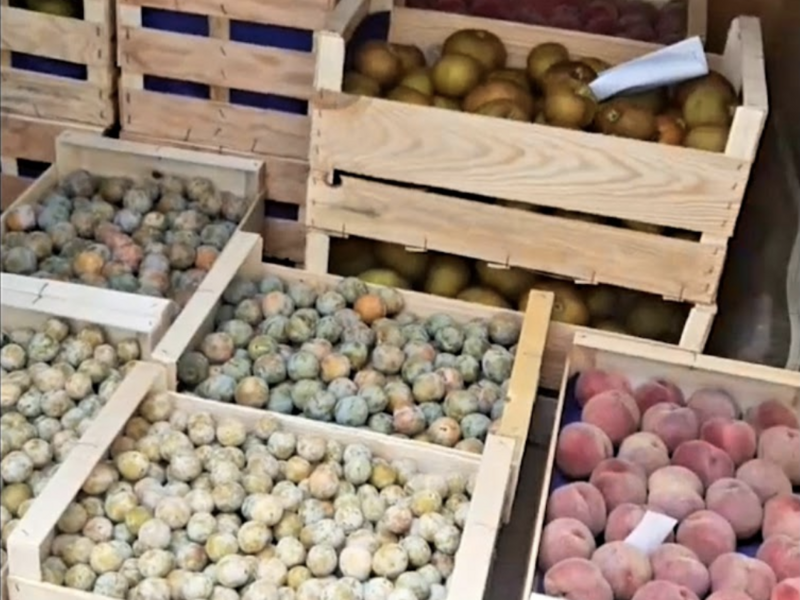 capture_d_ecran_2023-04-18_a_12-33-47