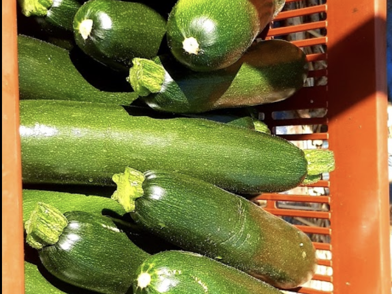 capture_d_ecran_2023-04-18_a_12-34-26