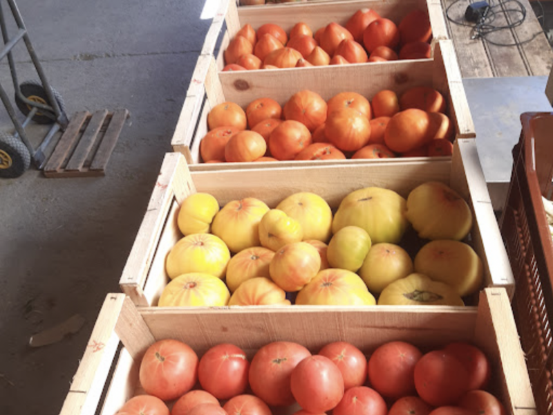 capture_d_ecran_2023-04-18_a_12-33-37