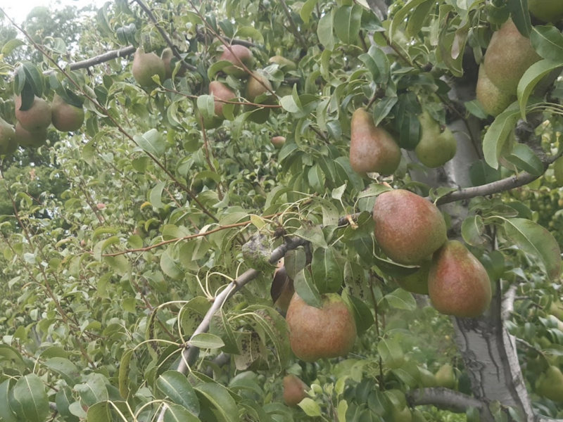 capture_d_ecran_2023-04-18_a_12-38-04