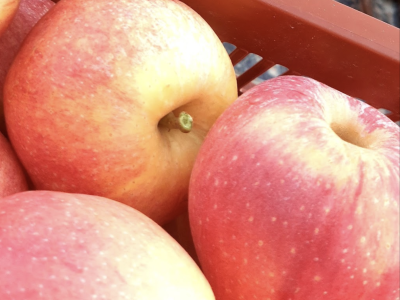 capture_d_ecran_2023-04-18_a_12-35-27