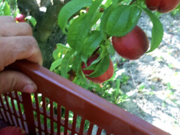 capture_d_ecran_2023-04-18_a_12-39-20