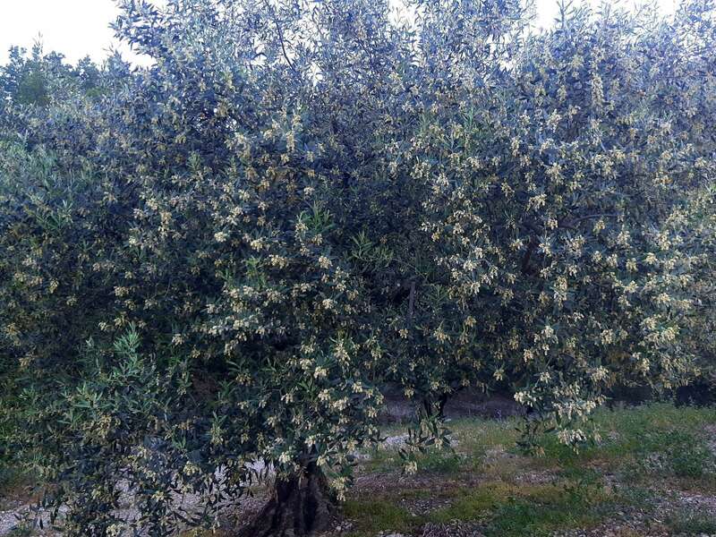 snapchat-113483913_1_