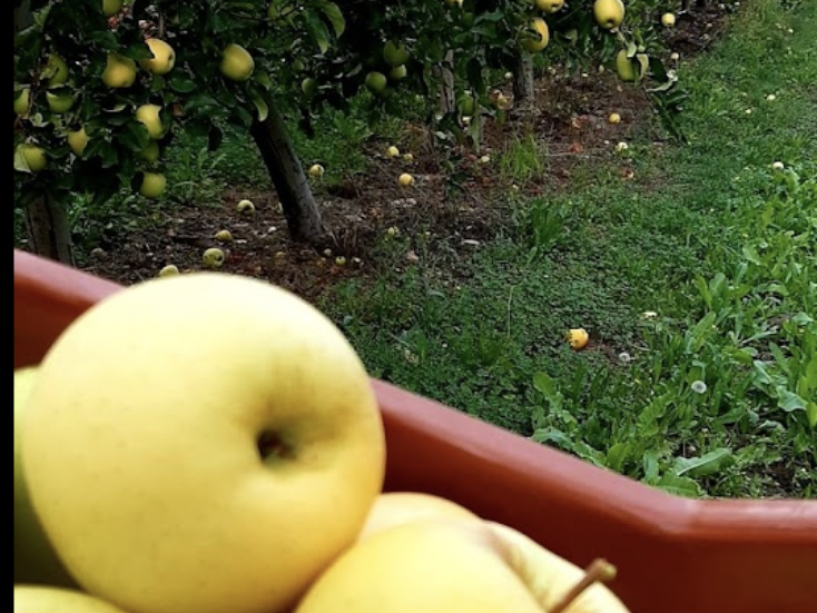 capture_d_ecran_2023-04-18_a_12-31-53