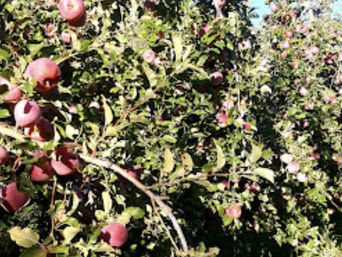 capture_d_ecran_2023-04-18_a_12-38-37