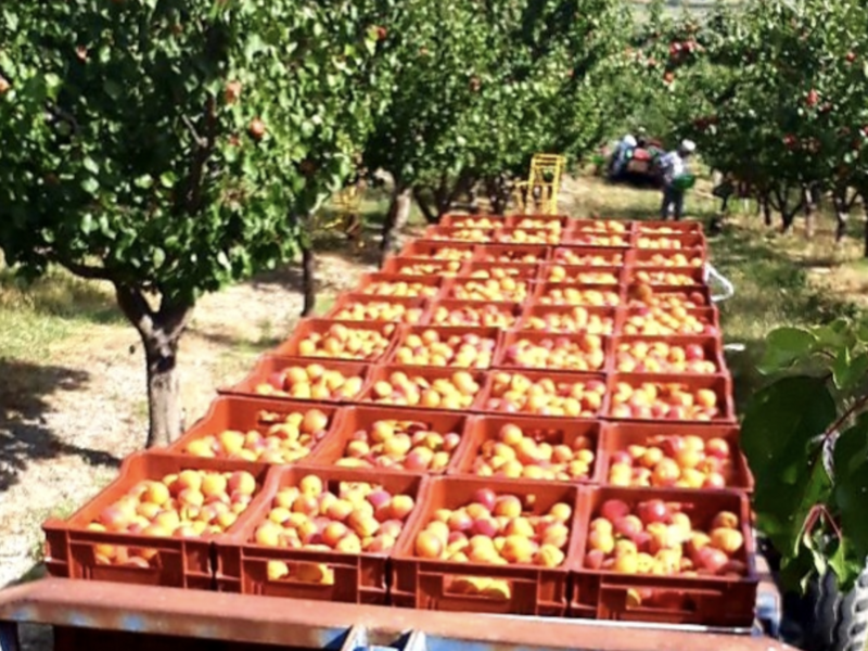 capture_d_ecran_2023-04-18_a_12-32-51