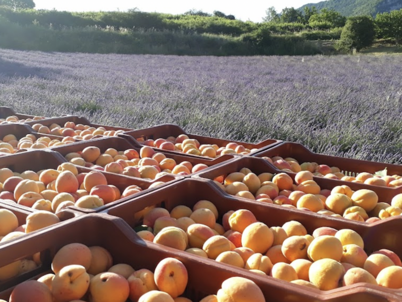 capture_d_ecran_2023-04-18_a_12-32-13