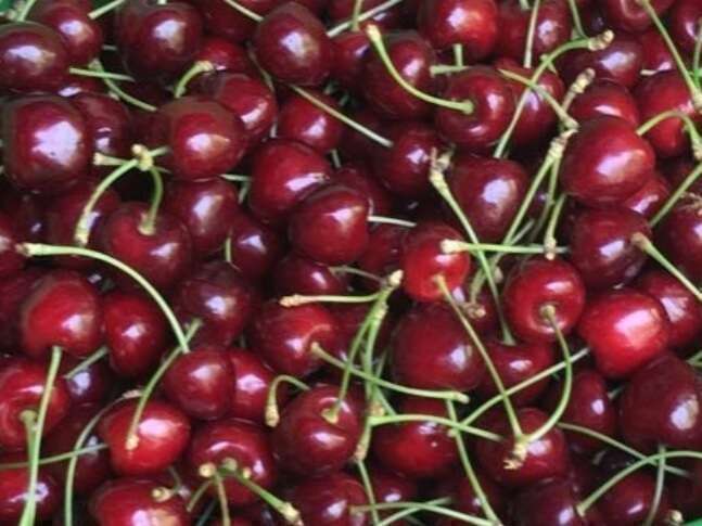 screenshot_20230207-222518_snapchat