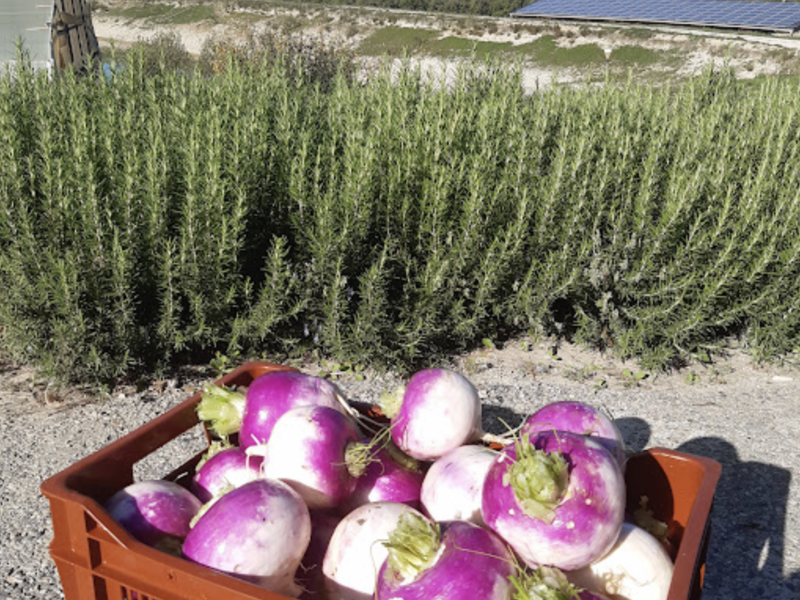 capture_d_ecran_2023-04-18_a_12-35-01