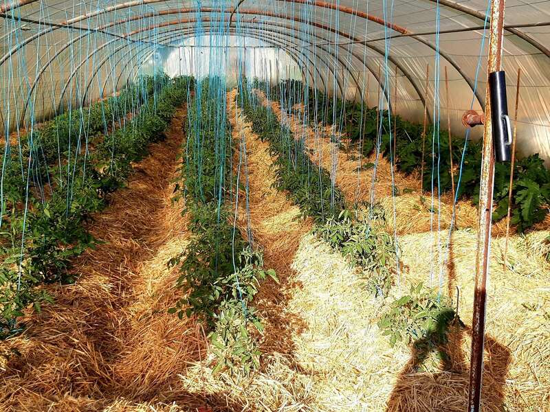 snapchat-523355130_1_