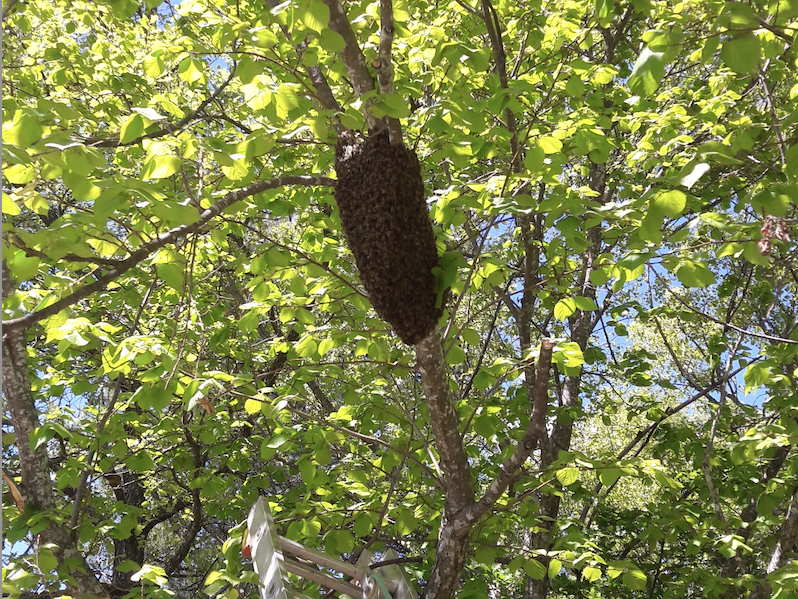 capture_d_ecran_2023-04-24_a_18-07-06