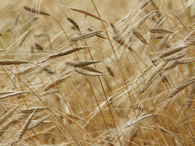 proxy-2708fdf3736ee59625def923478552ce-og20230418-2851758-1g1re9u