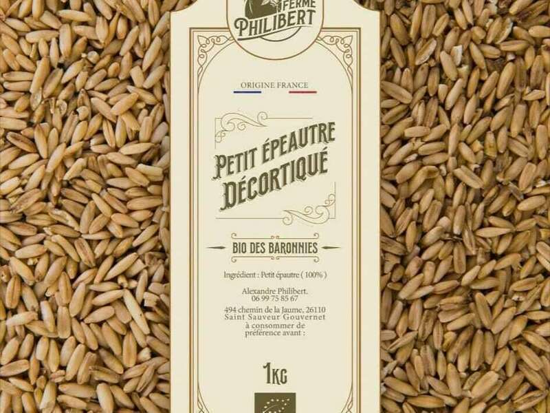 334710411_198647762768137_325020172361556400_n