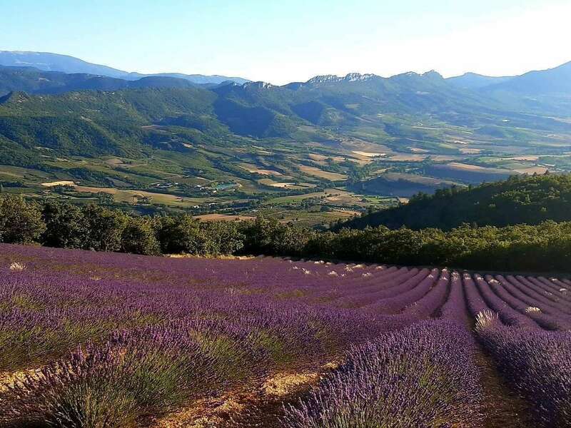 snapchat-189061384620230328-2638057-tir1h5