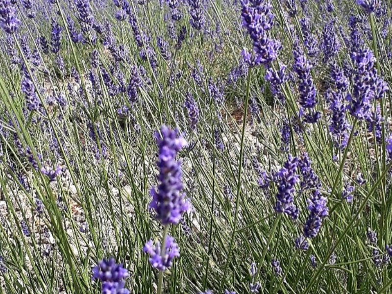 capture_d_ecran_2023-04-18_a_12-30-52