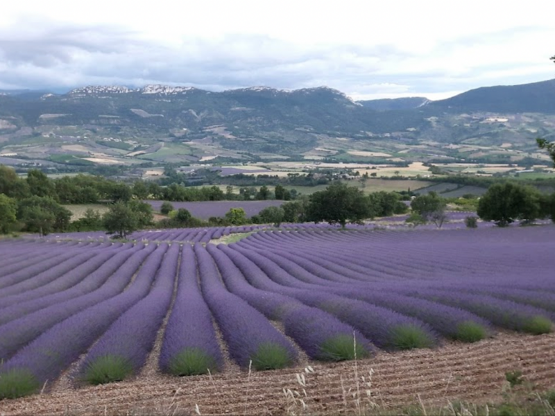 capture_d_ecran_2023-04-18_a_12-39-0920230418-2845626-1ndrfqw