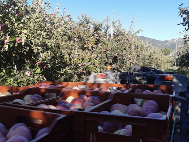 capture_d_ecran_2023-04-18_a_12-35-57