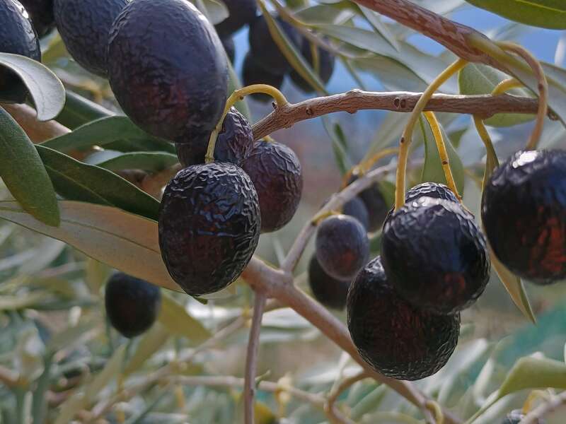 img_20231228_124003440_hdr