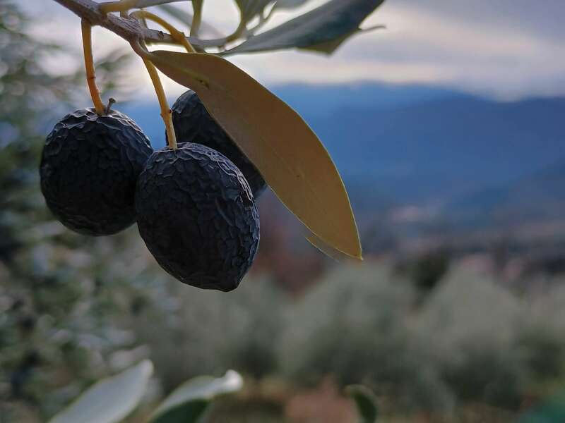 img_20231228_124034842_hdr