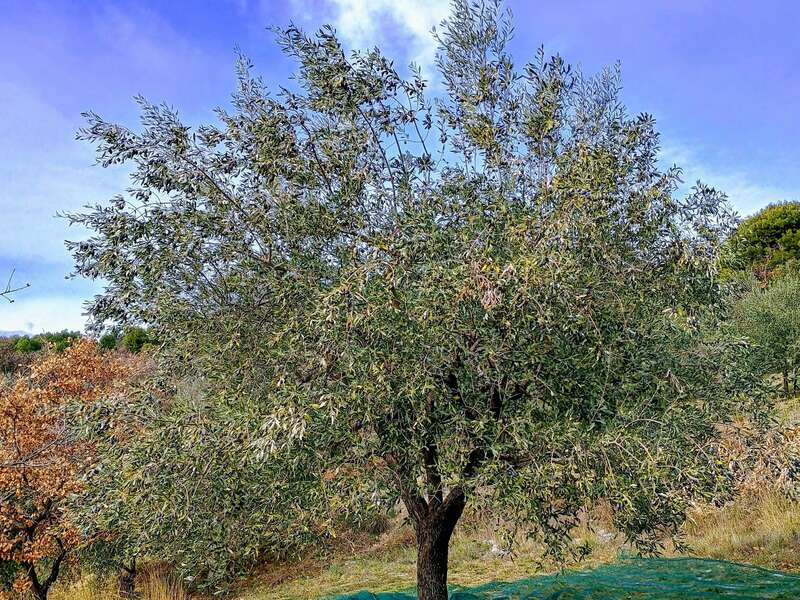 img_20231228_123849420_hdr-effects