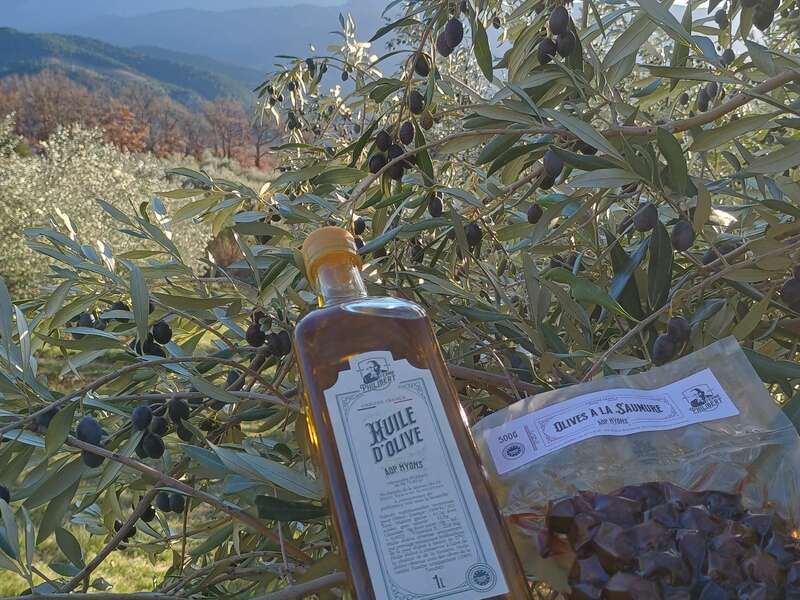 img_20240104_154050605_hdr