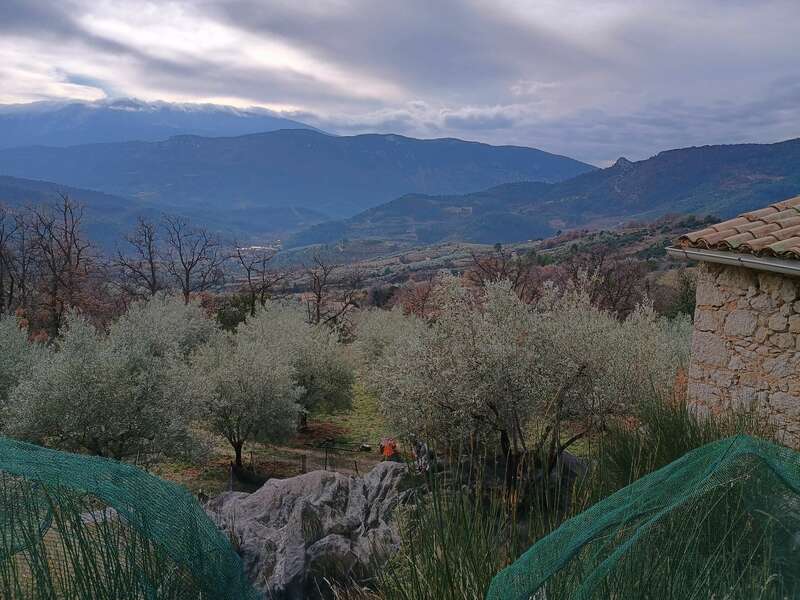 img_20231228_123828401_hdr