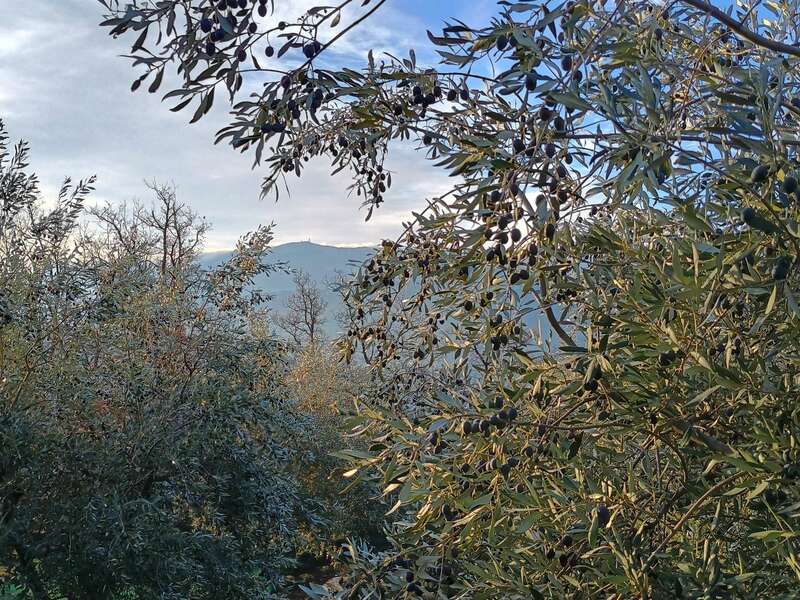 img_20231228_090930990_hdr