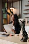 avocate en conseil et contentieux droit des affaires et social