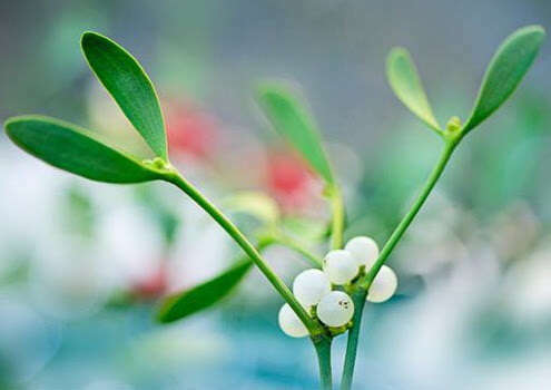 3 RITUALS FOR CHRISTMAS !!!!