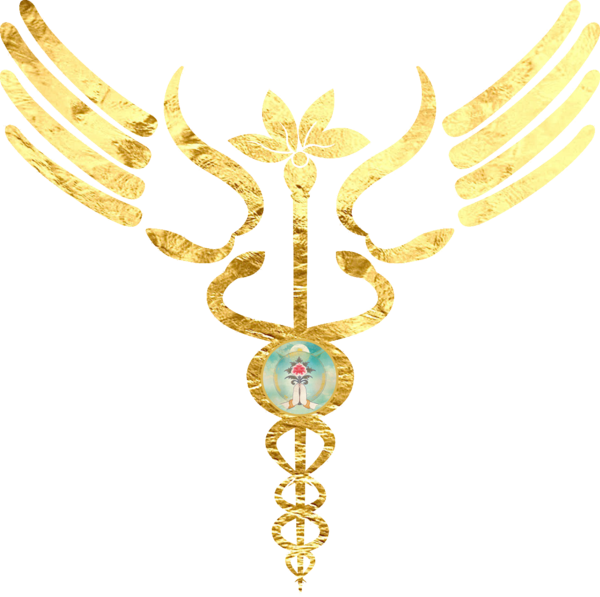 Become a Divandha Practitioner