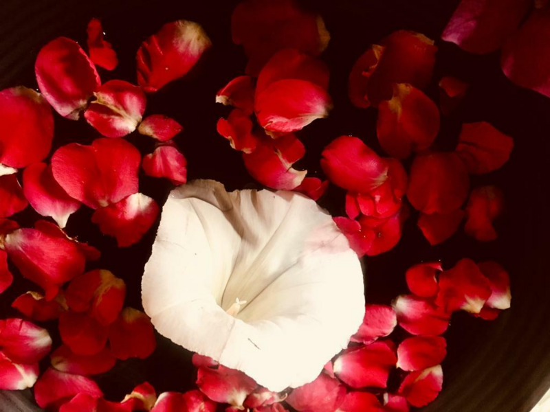 calendrier20211015-3680838-1bi26ez