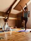 Yoga teacher training